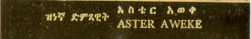 File:Aster Yedigosh 02.jpg